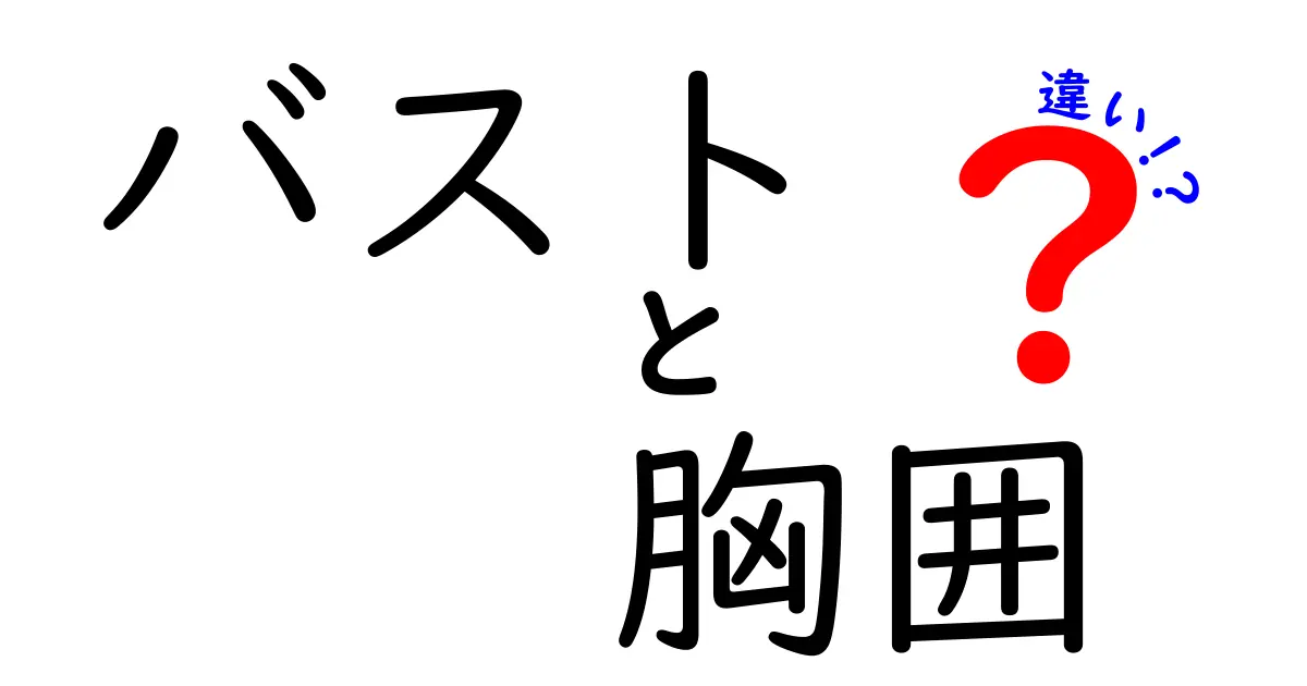 バストと胸囲の違いを徹底解説！正しい測定と使い方をマスターしよう