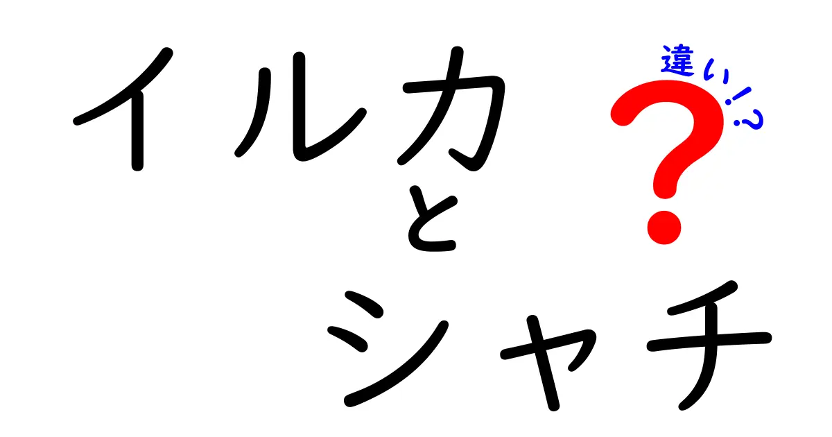 イルカとシャチの違いを徹底解説|見分け方・生態・食性を中学生にもわかる図解