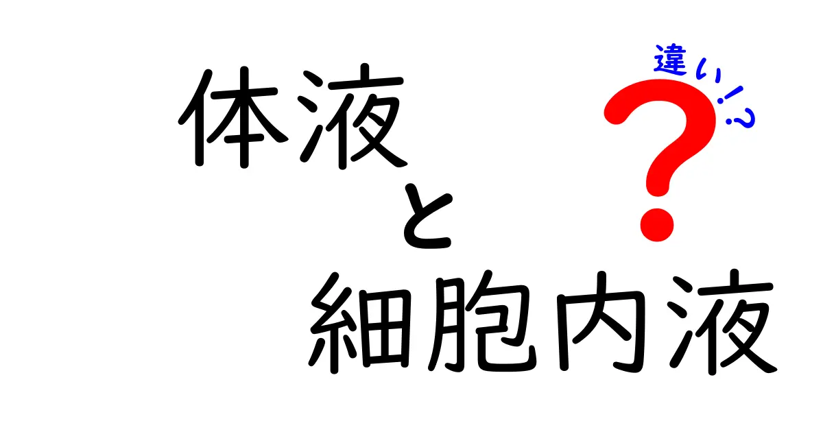 体液と細胞内液の違いをわかりやすく解説!中学生にも響くポイントと日常の例