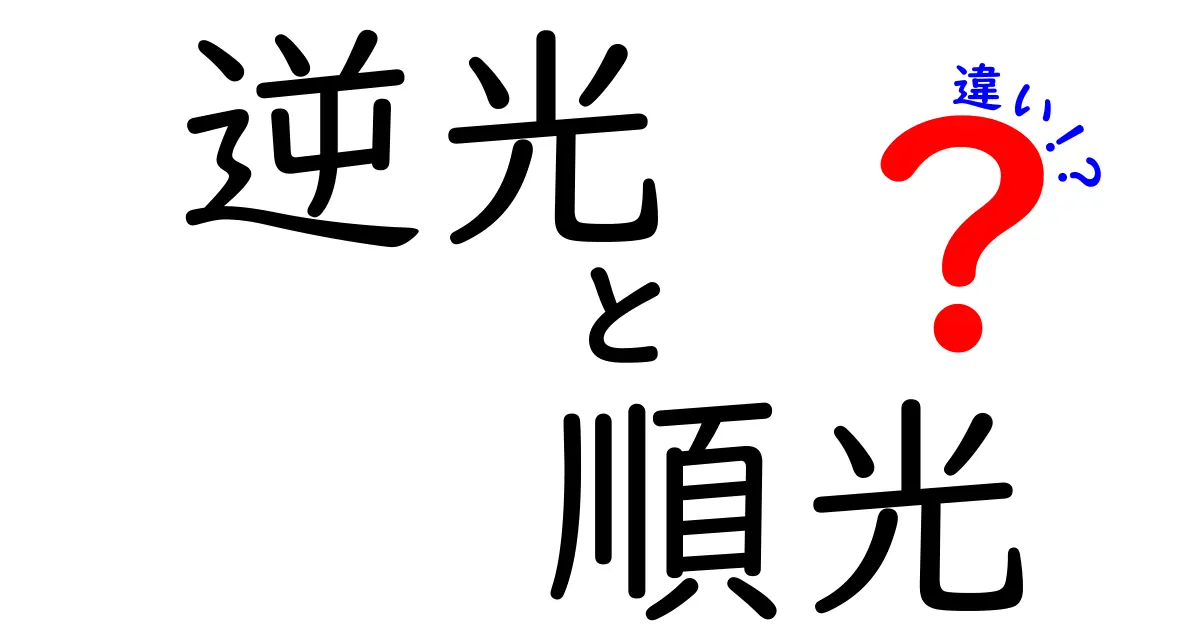 逆光と順光の違いを徹底解説!写真初心者が絶対知っておくべき基本と撮影テクニック