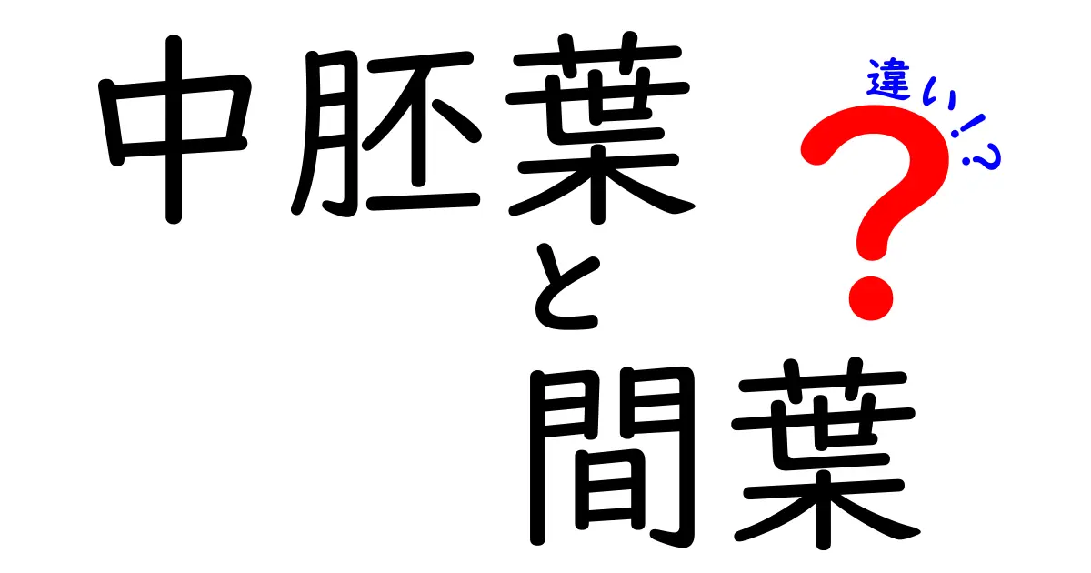 これで完璧!中胚葉と間葉の違いを中学生にもわかるように徹底解説