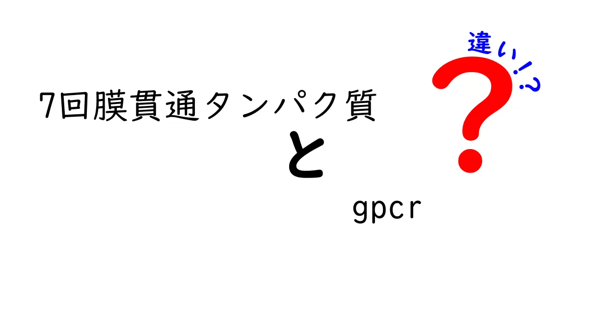7回膜貫通タンパク質とGPCRの違いを徹底解説!初心者にも分かるポイント整理
