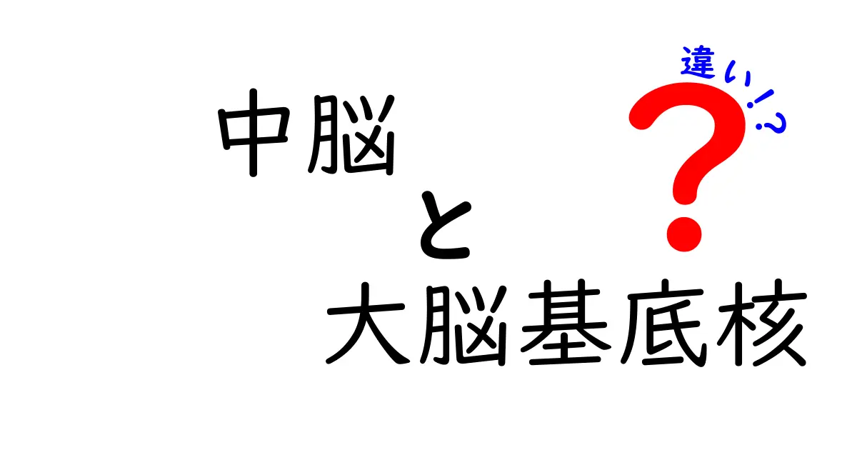 中脳と大脳基底核の違いがよくわかる解説: どんな役割があるの?