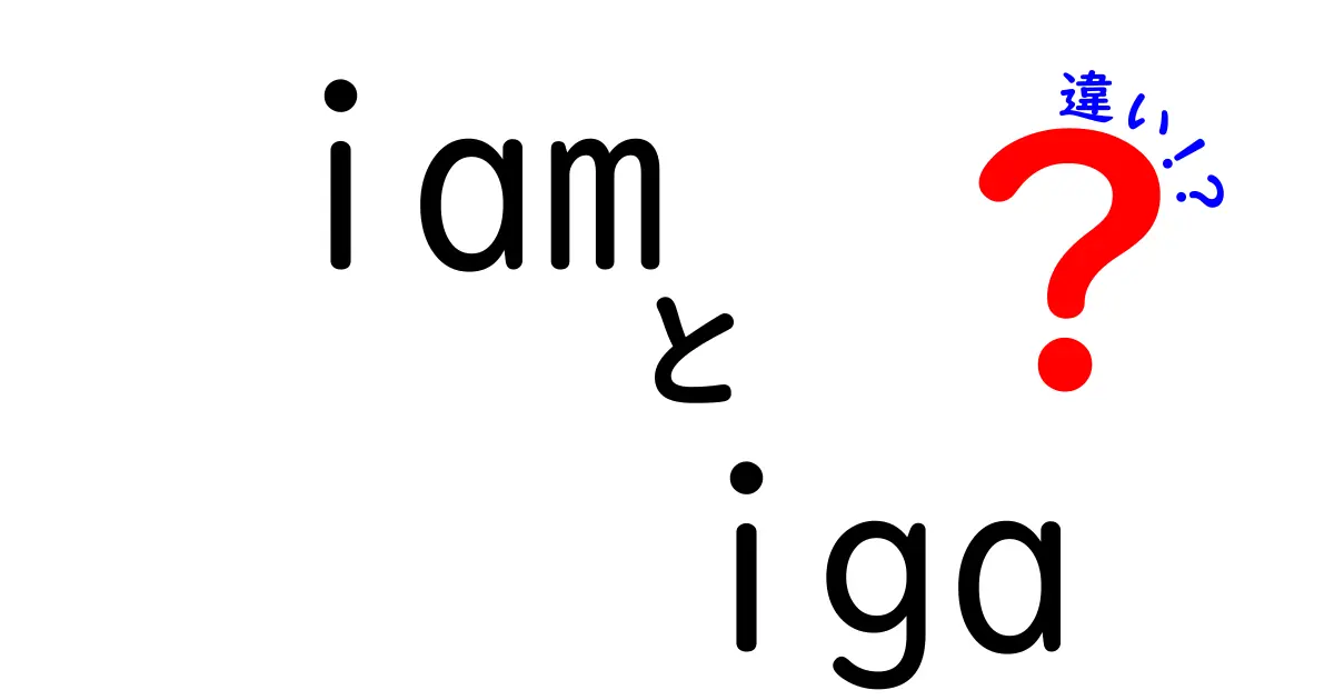 IAMとIGAの違いを徹底解説：混乱をなくす実務ガイド