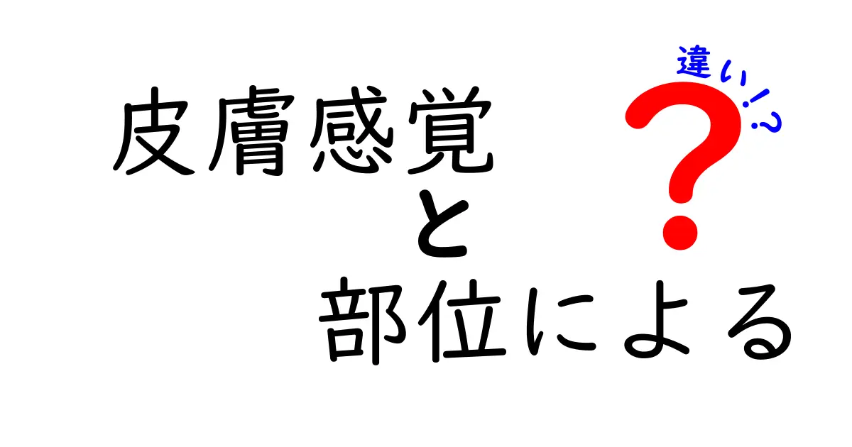 部位別に違う皮膚感覚の秘密を徹底解説—触れる場所で変わる感じ方を理解しよう