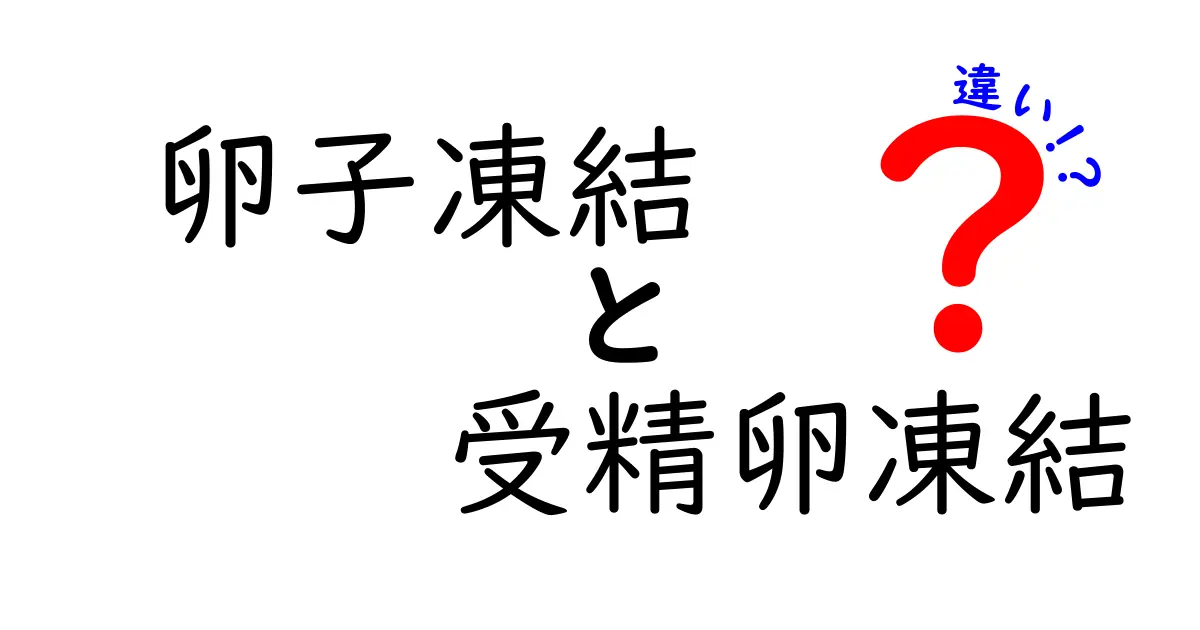卵子凍結と受精卵凍結の違いを徹底解説|知っておきたいポイント