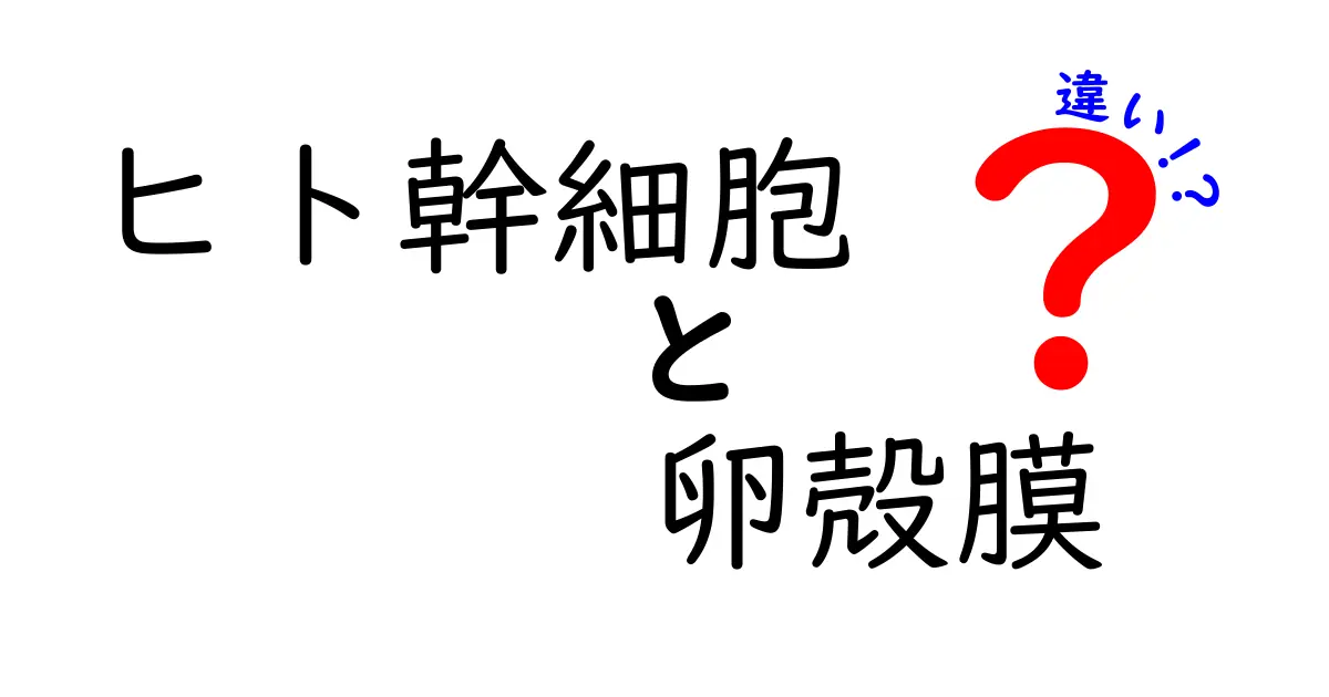 ヒト幹細胞と卵殻膜の違いを徹底比較！基礎知識から実用まで、中学生にもわかるやさしい解説