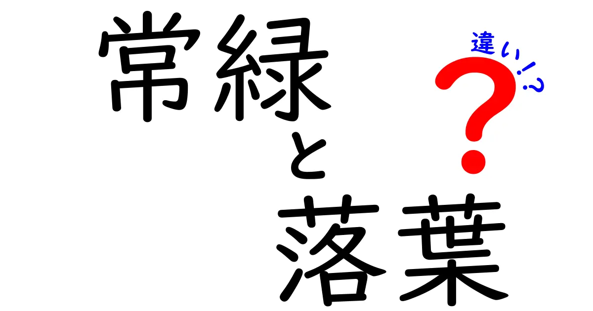 知らなかった！常緑樹と落葉樹の違いとは？特徴と見分け方をやさしく解説