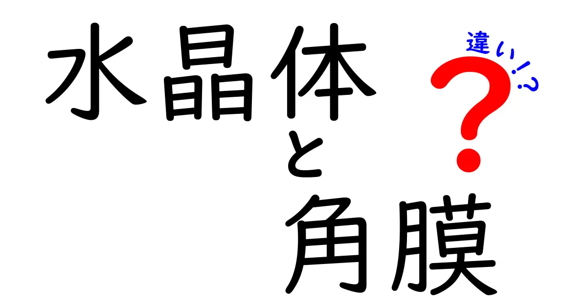 水晶体と角膜の違いを徹底解説!視力に欠かせない2つの部位の役割とは?