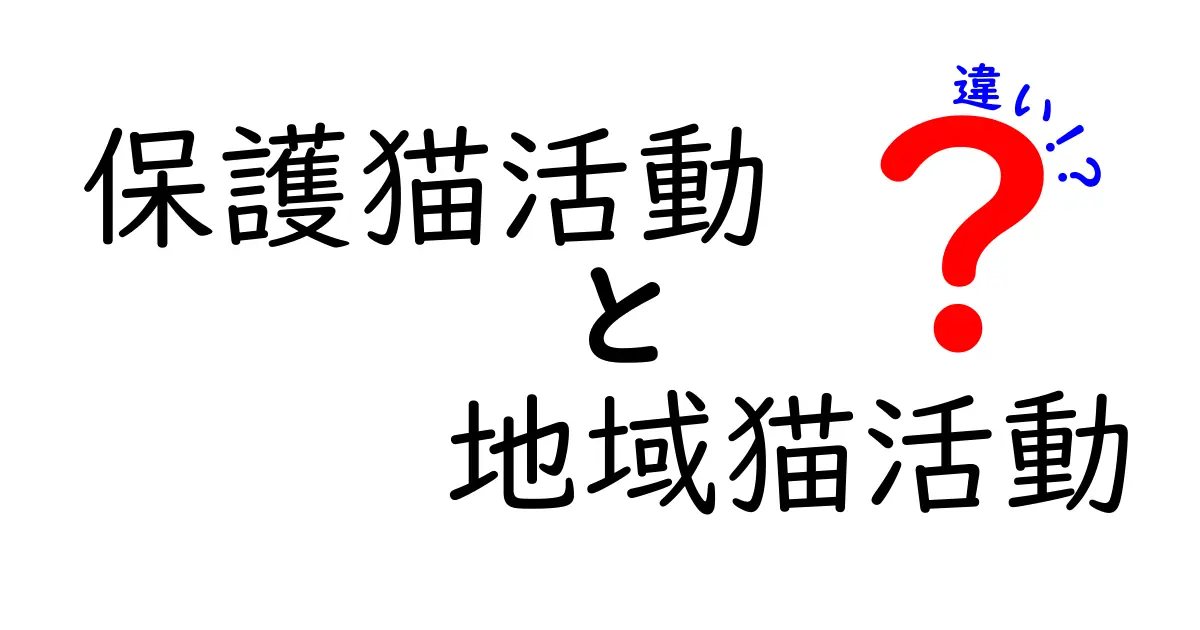 保護猫活動と地域猫活動の違いとは?初心者にもわかりやすく解説!