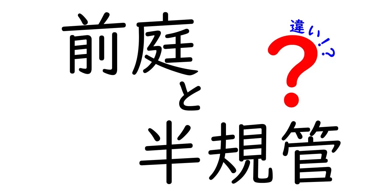 前庭と半規管の違いを徹底解説!耳のバランスを決める2つの仕組み