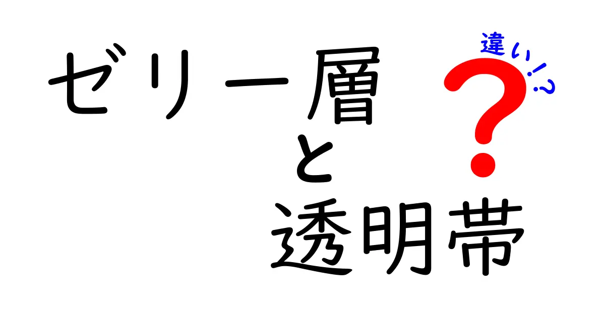 ゼリー層と透明帯の違いをわかりやすく解説!卵の包み構造を図解で理解しよう