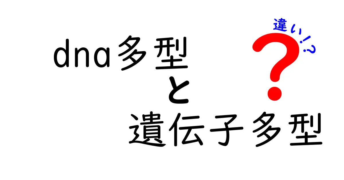 DNA多型と遺伝子多型の違いを理解する入門ガイド — 遺伝の謎を解くキーワードを丁寧に解説