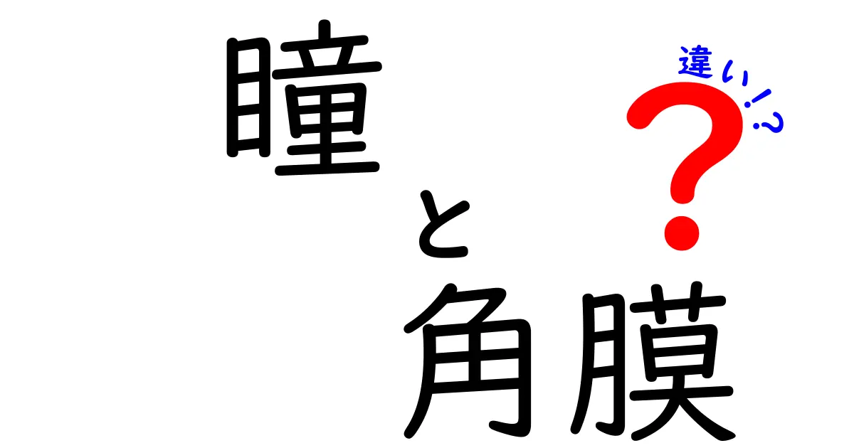 瞳と角膜の違いをわかりやすく解説!目の仕組みを知ろう
