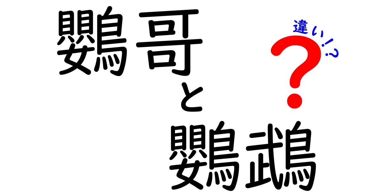 鸚哥と鸚鵡の違いを徹底解説!読み方・使い分け・現代日本語での混乱を解消しよう