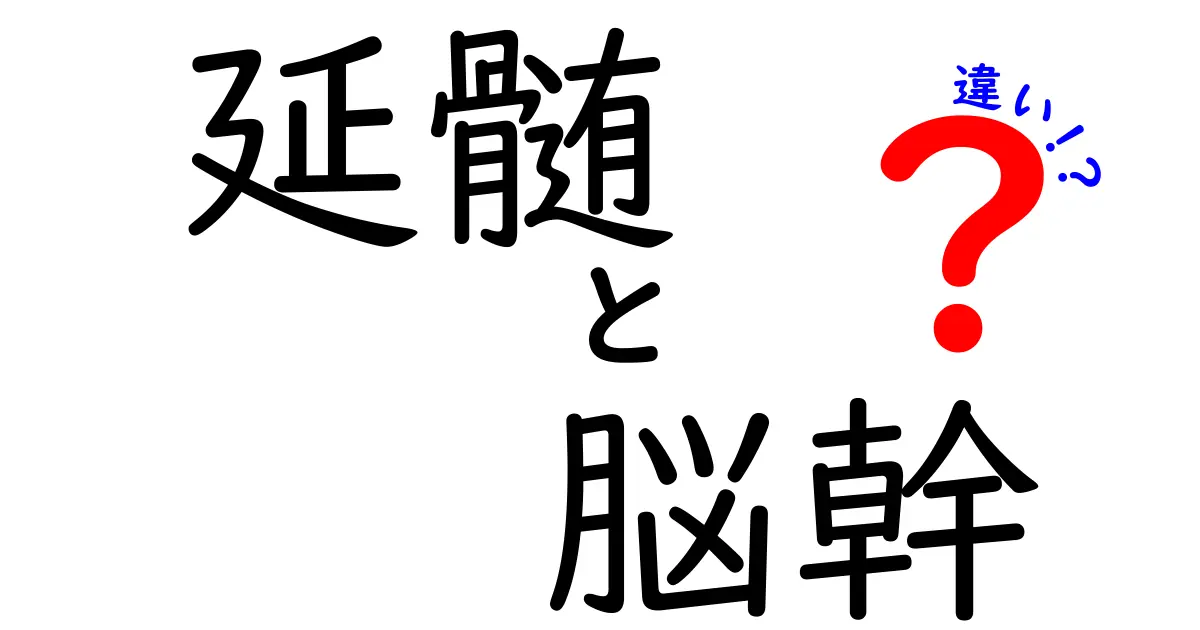 延髄と脳幹の違いを知らないと損する?中学生にもわかる徹底解説