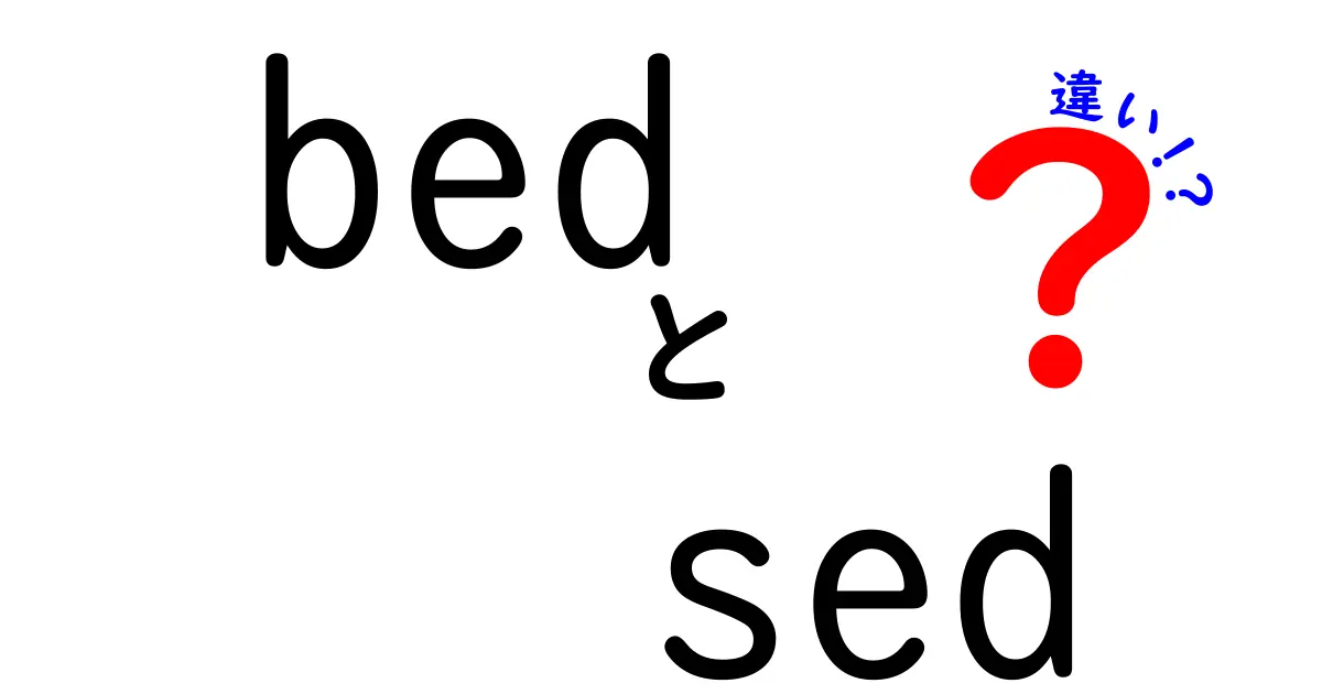 bedとsedの違いを徹底解説！意味・用途・使い方をわかりやすく比較