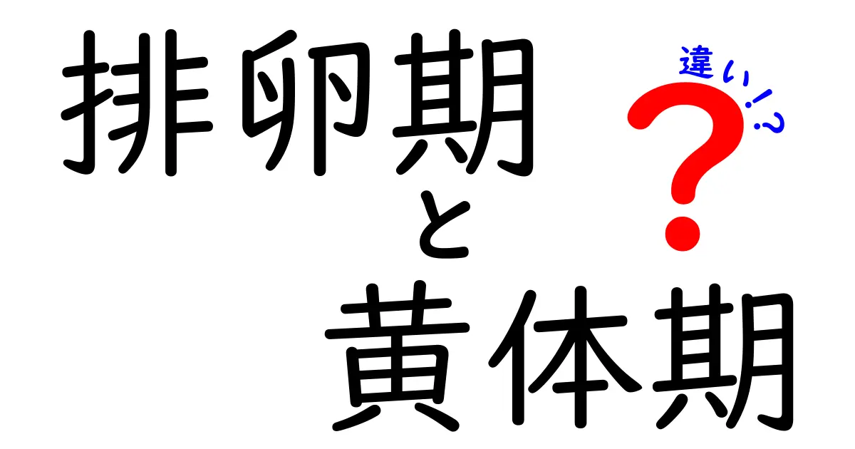排卵期と黄体期の違いを徹底解説!基礎から日常生活までわかりやすく知ろう