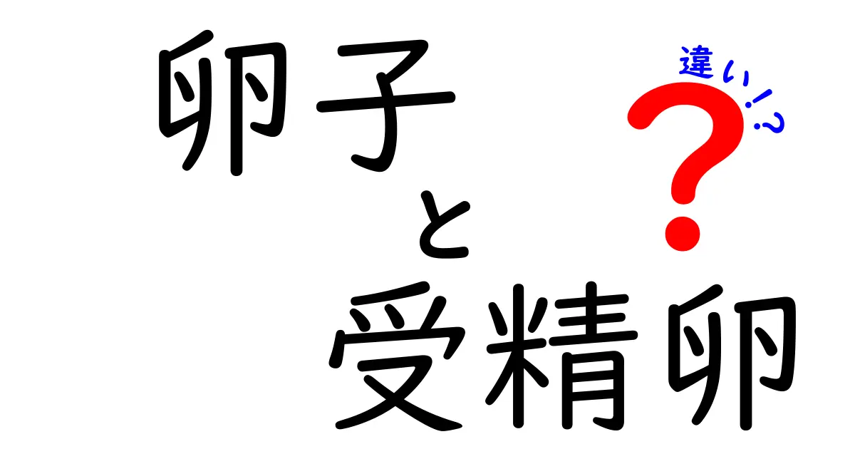 卵子と受精卵の違いを徹底解説!知らないと損する基本と成り立ち