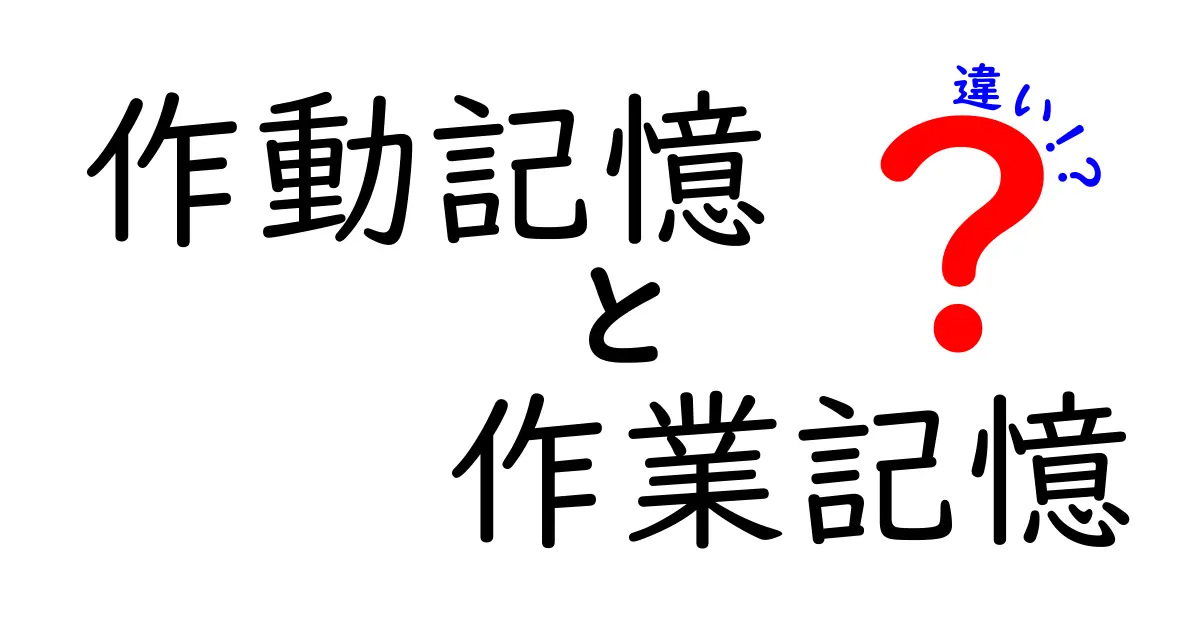 作動記憶と作業記憶の違いを徹底解説|中学生にも分かる脳のしくみ