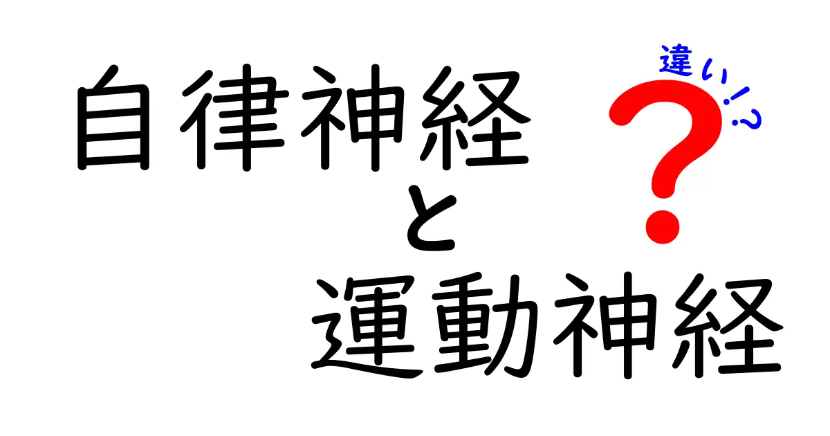 自律神経と運動神経の違いとは？初心者にもわかりやすく解説！
