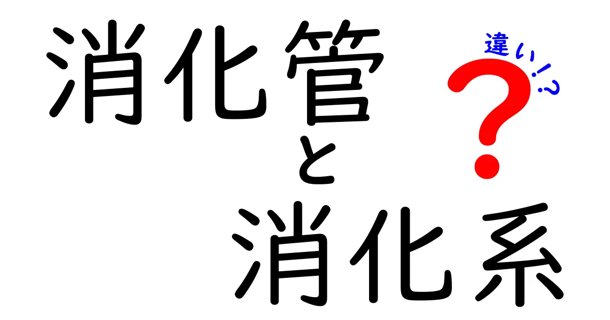 消化管と消化系の違いを徹底解説！身近な疑問を中学生にも分かりやすく整理