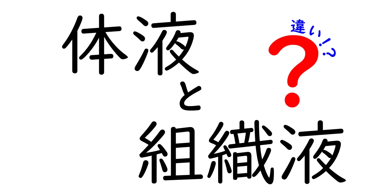 体液と組織液の違いって何?血漿・間質・細胞外液をやさしく徹底解説