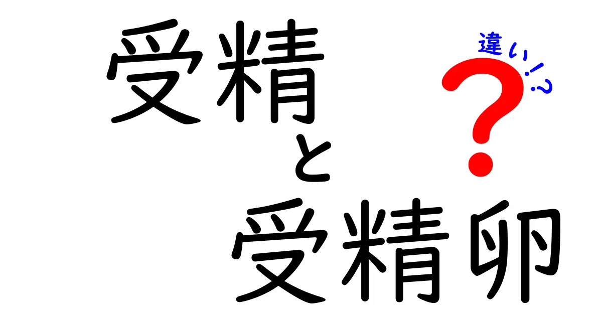 受精と受精卵の違いを徹底解説!中学生にも理解できる図解つきガイド