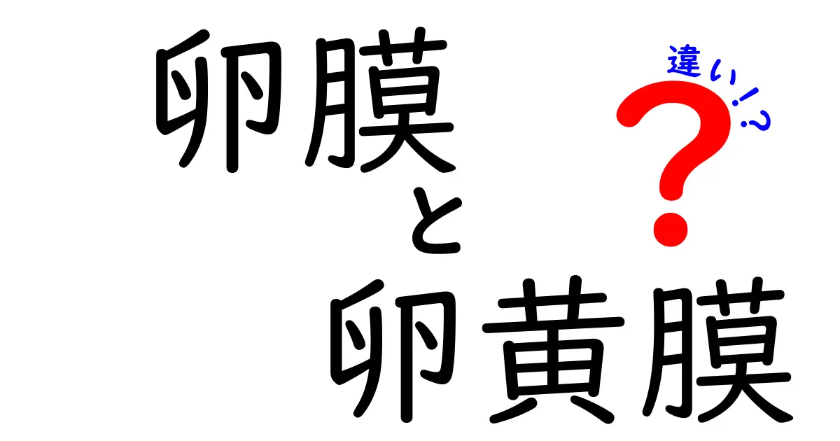 卵膜と卵黄膜の違いを徹底解説｜中学生にもわかるやさしい解説