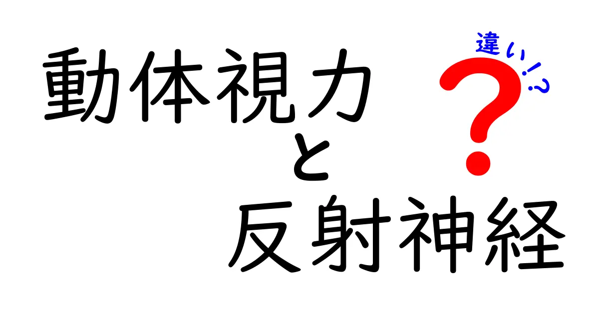 動体視力と反射神経の違いを徹底解説!スポーツや日常生活で役立つ知識