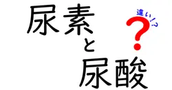 尿素と尿酸の違いとは？わかりやすく解説！中学生でも理解できる尿の成分基礎知識