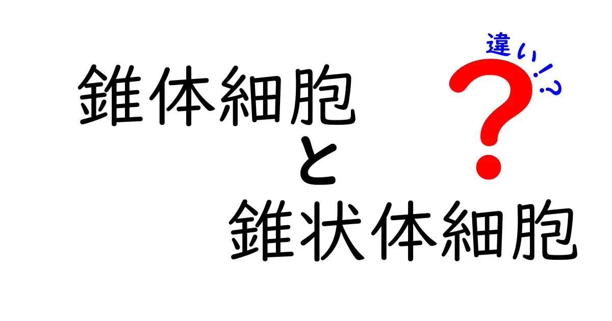 錐体細胞と錐状体細胞の違いを徹底解説!読み方と使い分けを中学生にもわかる言葉で