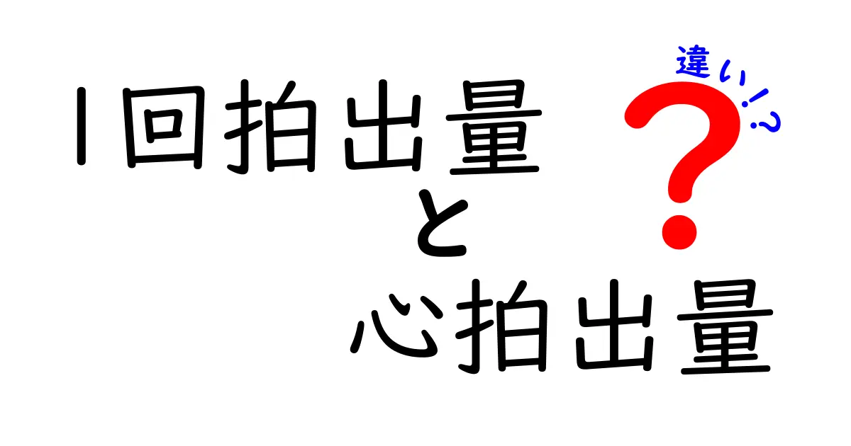 1回拍出量と心拍出量の違いをわかりやすく解説!中学生にも伝わる基礎と日常のイメージ