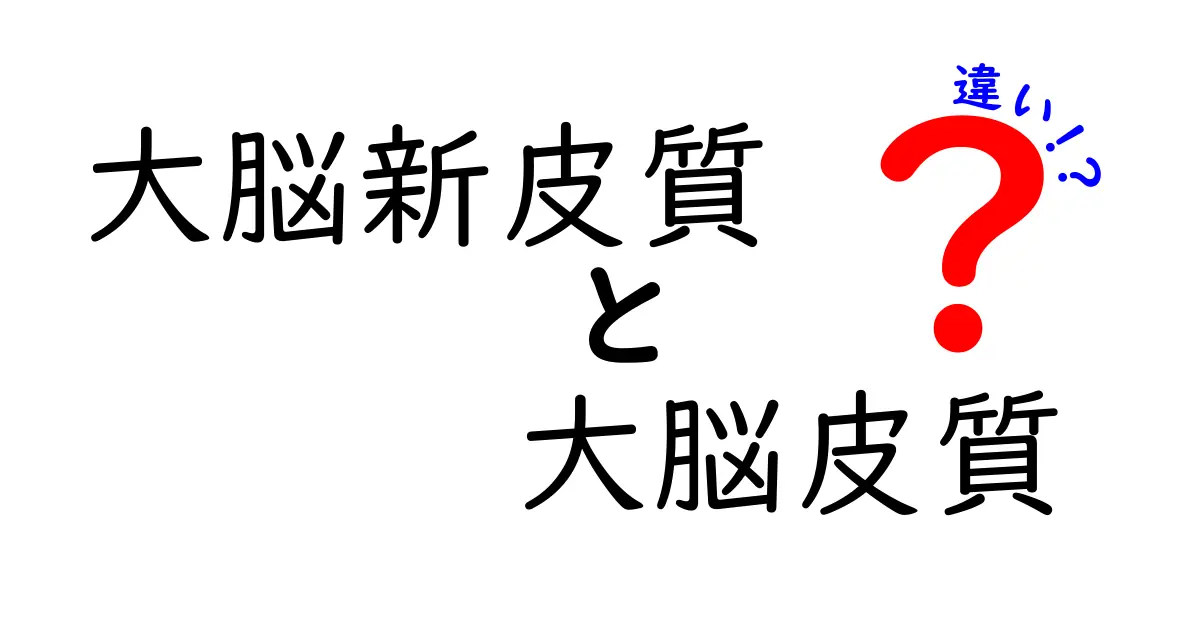 大脳新皮質と大脳皮質の違いを徹底解説!中学生にもわかるポイントと日常のヒント