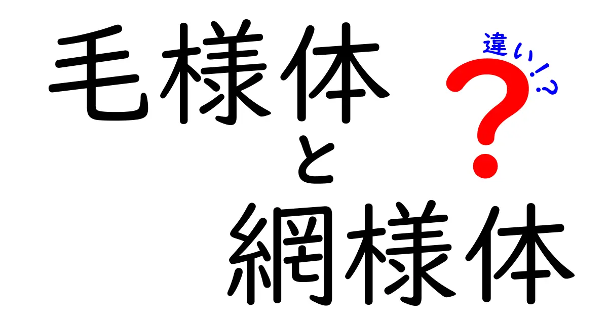 毛様体と網様体の違いを徹底解説|目と脳の仕組みをやさしく理解しよう