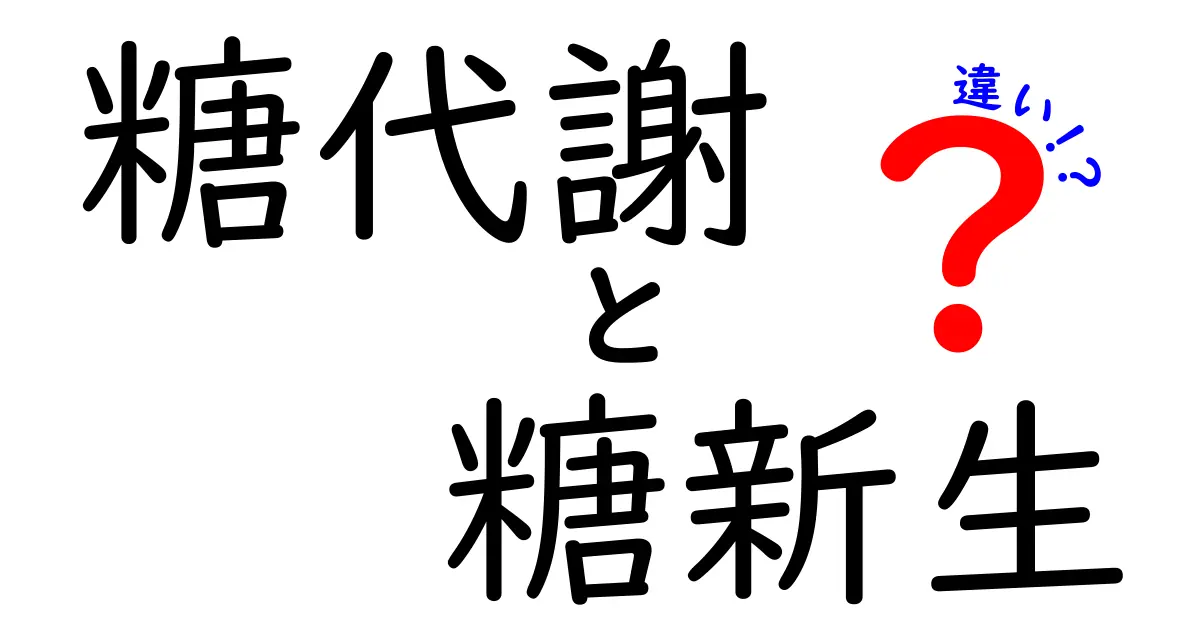 糖代謝と糖新生の違いをわかりやすく解説!中学生にも伝わる体のエネルギーの作り方