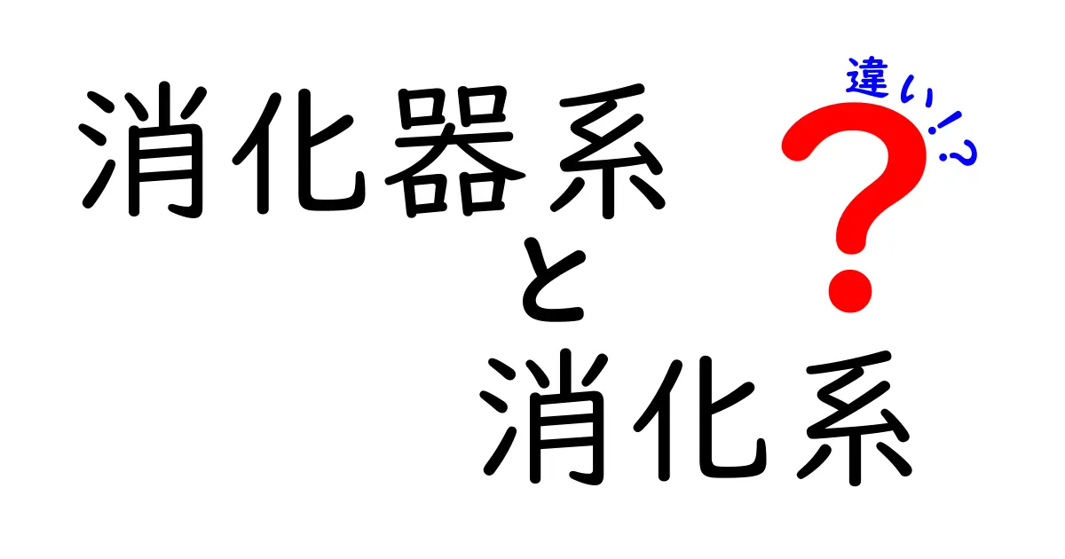 消化器系と消化系の違いをわかりやすく徹底解説!中学生にもぴったりの基礎知識