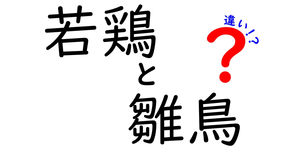 若鶏と雛鳥の違いをわかりやすく解説!料理で使い分けるための3つのポイント