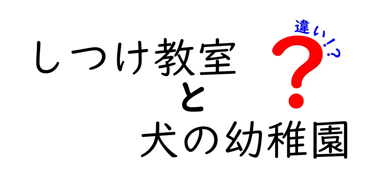 しつけ教室と犬の幼稚園の違いを徹底解説|目的別の選び方と成功のコツ