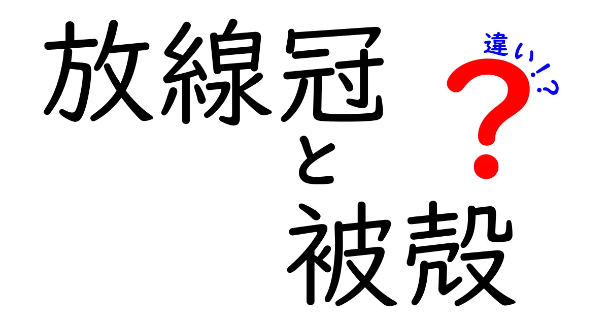 放線冠と被殻の違いを徹底解説:放線冠は生き物、被殻は外側の殻