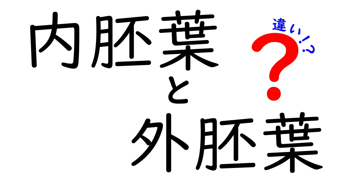 内胚葉と外胚葉の違いを徹底解説!中学生にもわかる基礎と臨床のヒント