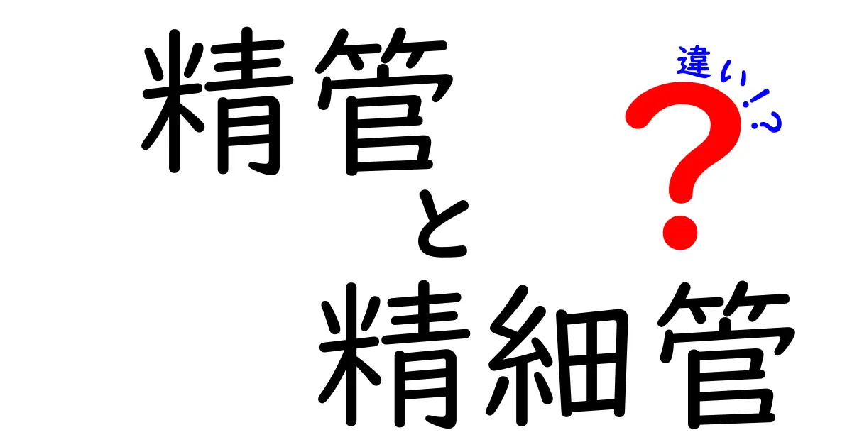 精管と精細管の違いを徹底解説!中学生にもわかる図解つきポイント