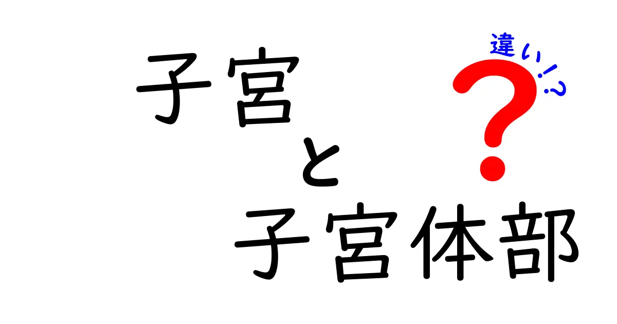 子宮と子宮体部の違いをわかりやすく解説!中学生にも伝わるポイントまとめ