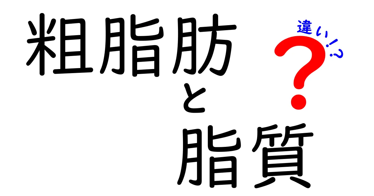 「粗脂肪」と「脂質」の違いとは？中学生にもわかるわかりやすい解説
