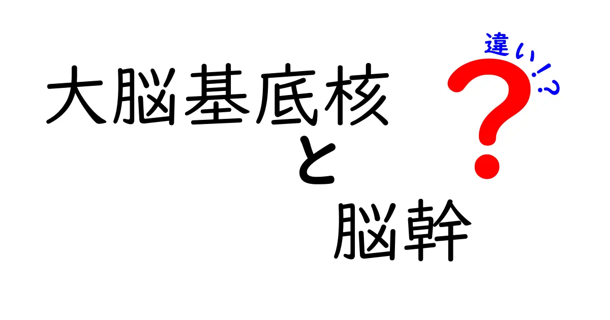 大脳基底核と脳幹の違いを徹底解説|脳の中で役割が違う2つの重要な部位