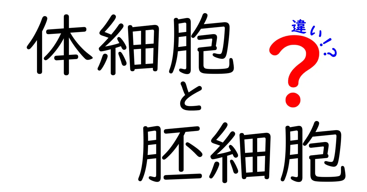 体細胞と胚細胞の違いを徹底解説!中学生にも伝わる基本と医療への応用