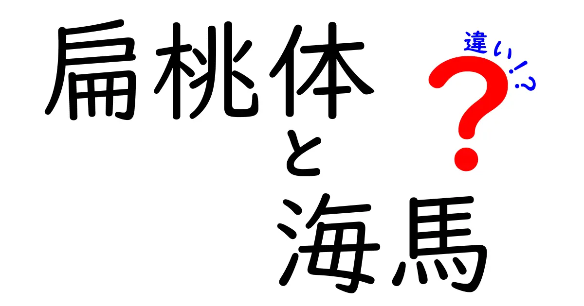 扁桃体と海馬の違いを図解で理解!記憶と感情を分ける脳の“2大エンジン”をやさしく解説