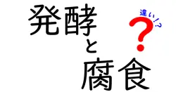 発酵と腐食の違いとは？見分け方と生活への影響をわかりやすく解説！