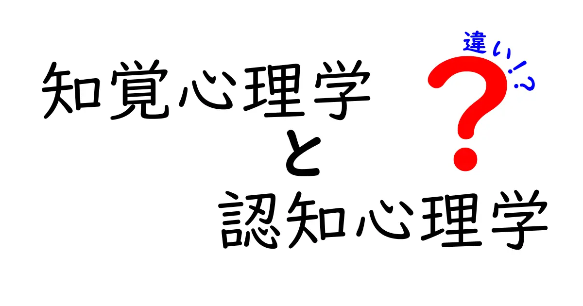 知覚心理学と認知心理学の違いを徹底解説！日常の見え方と頭の仕組みを結ぶ心理学ガイド