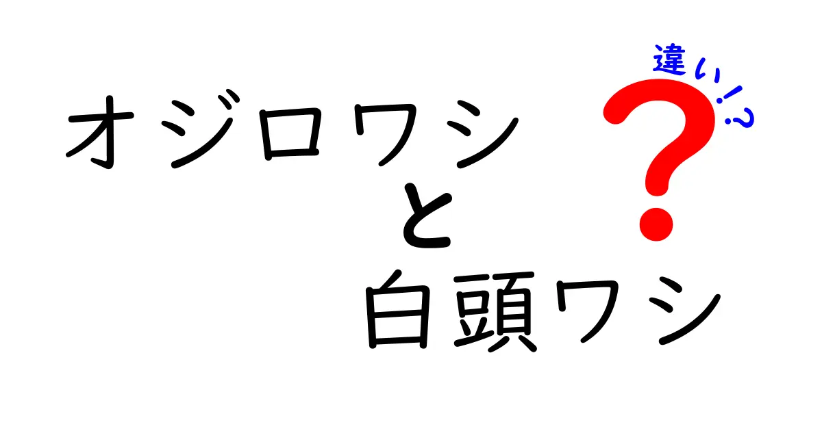 オジロワシと白頭ワシの違いを徹底解説!見分け方と生態をわかりやすく